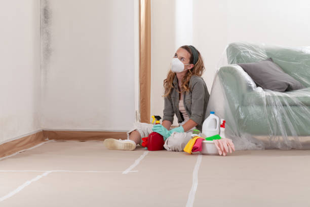 Reliable Black Mold Removal contractor in McHenry, IL by WQB Mold Removal